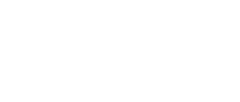 logo cnfs 2x